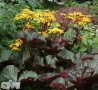'Britt Marie Crawford'®