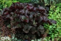 'Britt Marie Crawford'®
